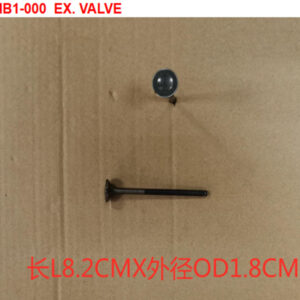 SYM_SUBAP EGSOZ SUBABI egsoz valfi ADET._JETX125 ORT_